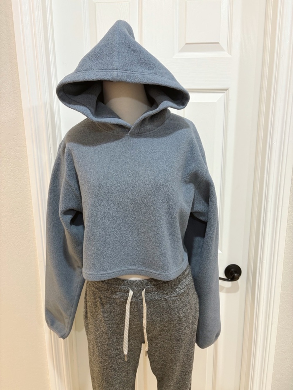 Aritzia TNA Fleece Sherpa Soft Blue Cropped Hoodie Top